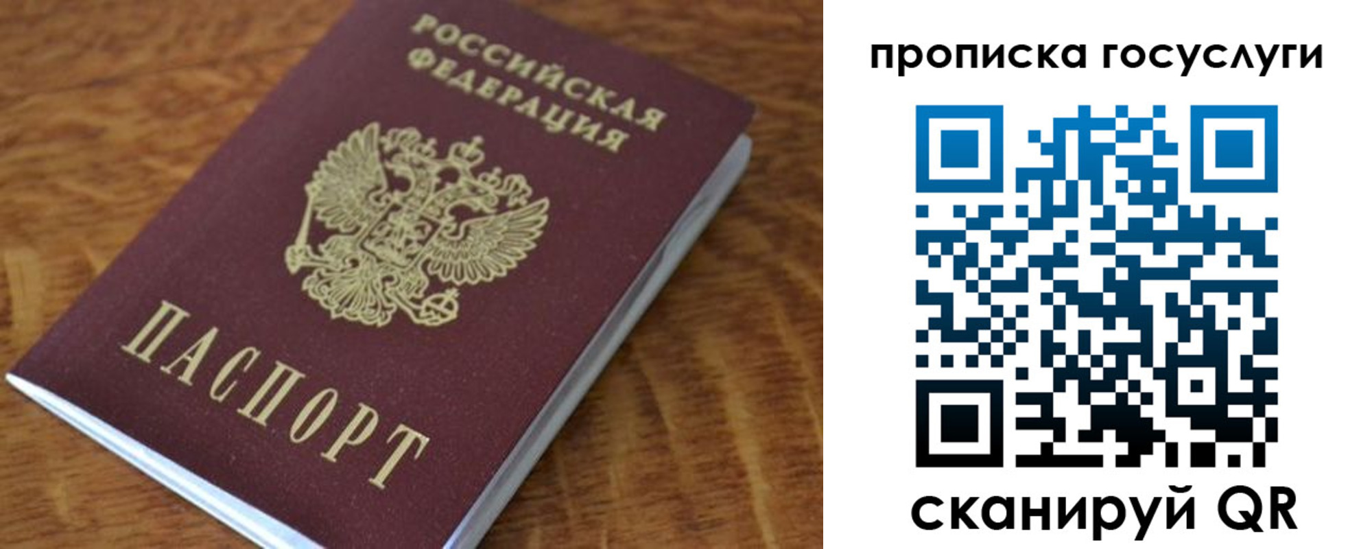 временная регистрация гарантия в Лесном